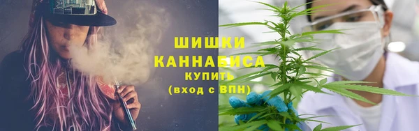 каннабис Новозыбков