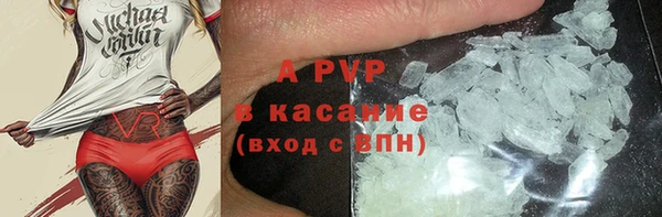 трава Бородино