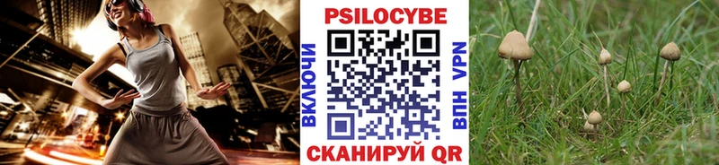 цена   Воркута  Псилоцибиновые грибы мухоморы 